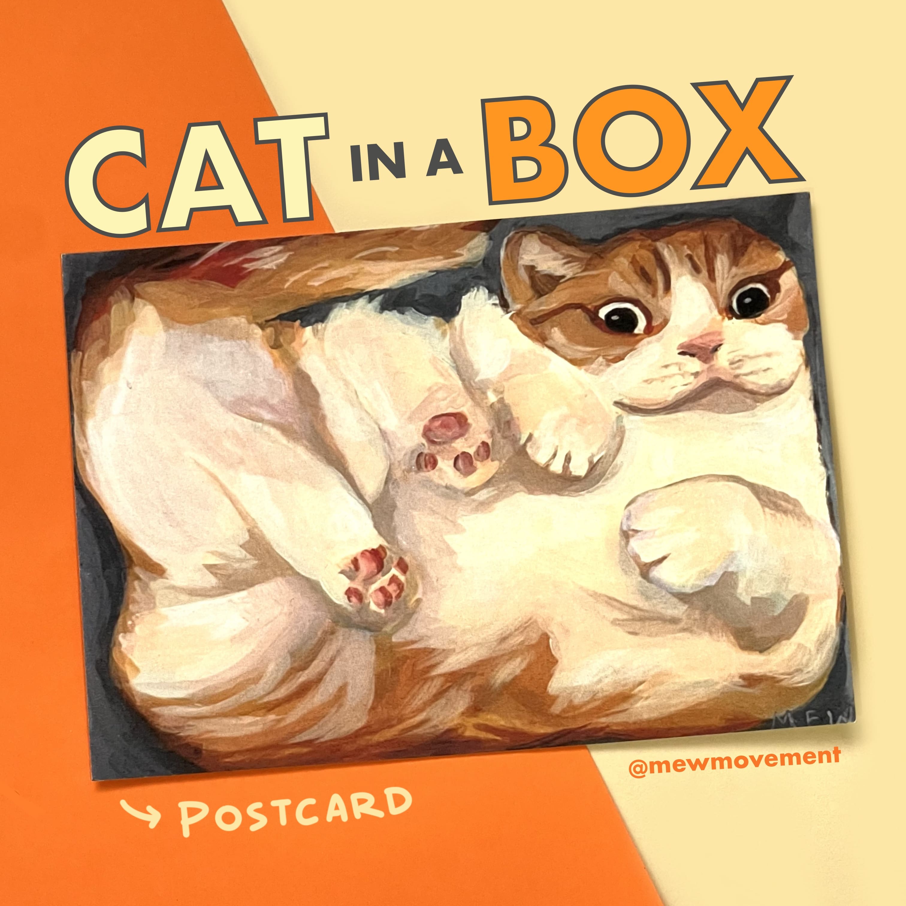Cat In A Box Postcard