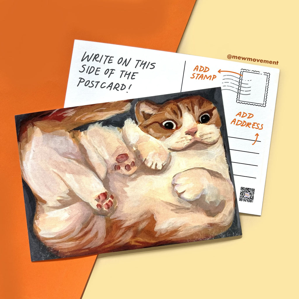 Cat In A Box Postcard