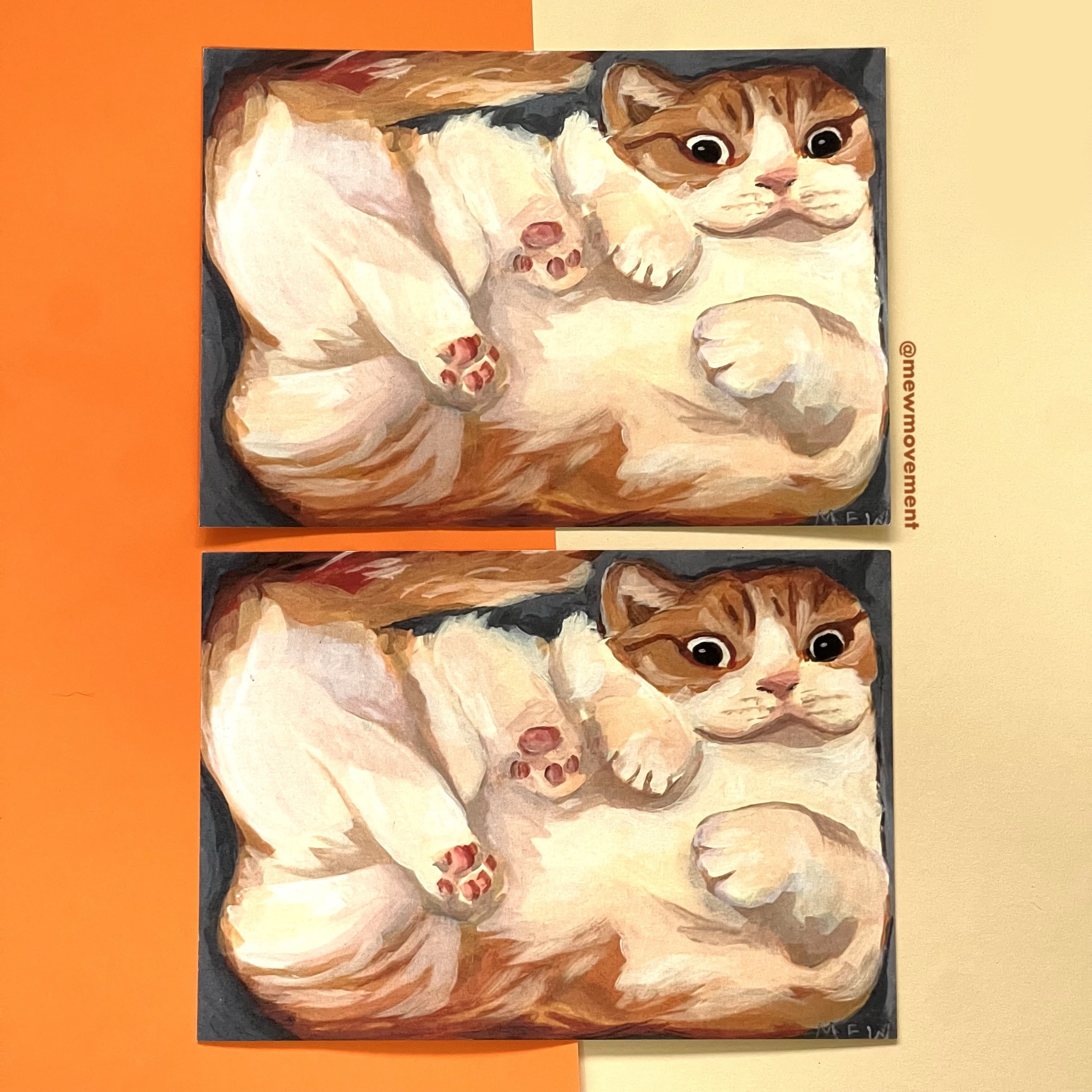 Cat In A Box Postcard