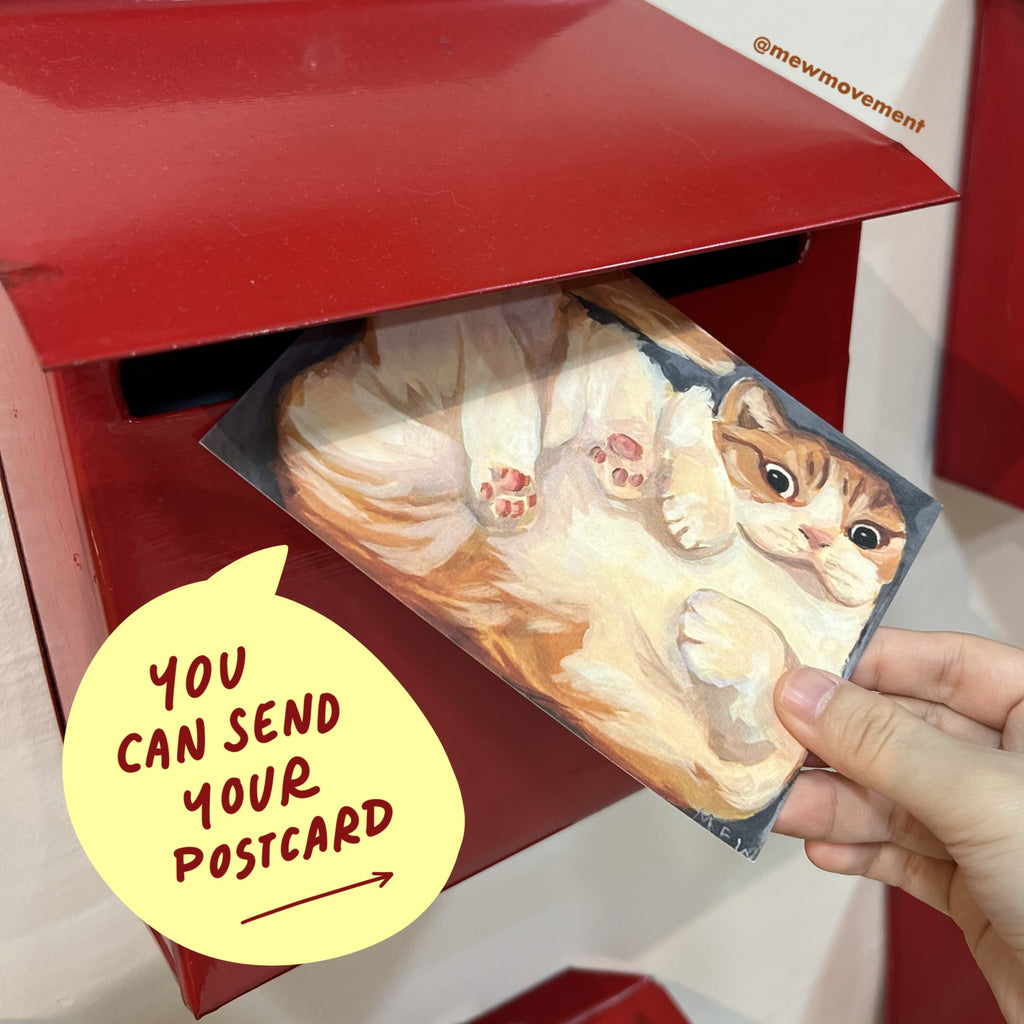 Cat In A Box Postcard