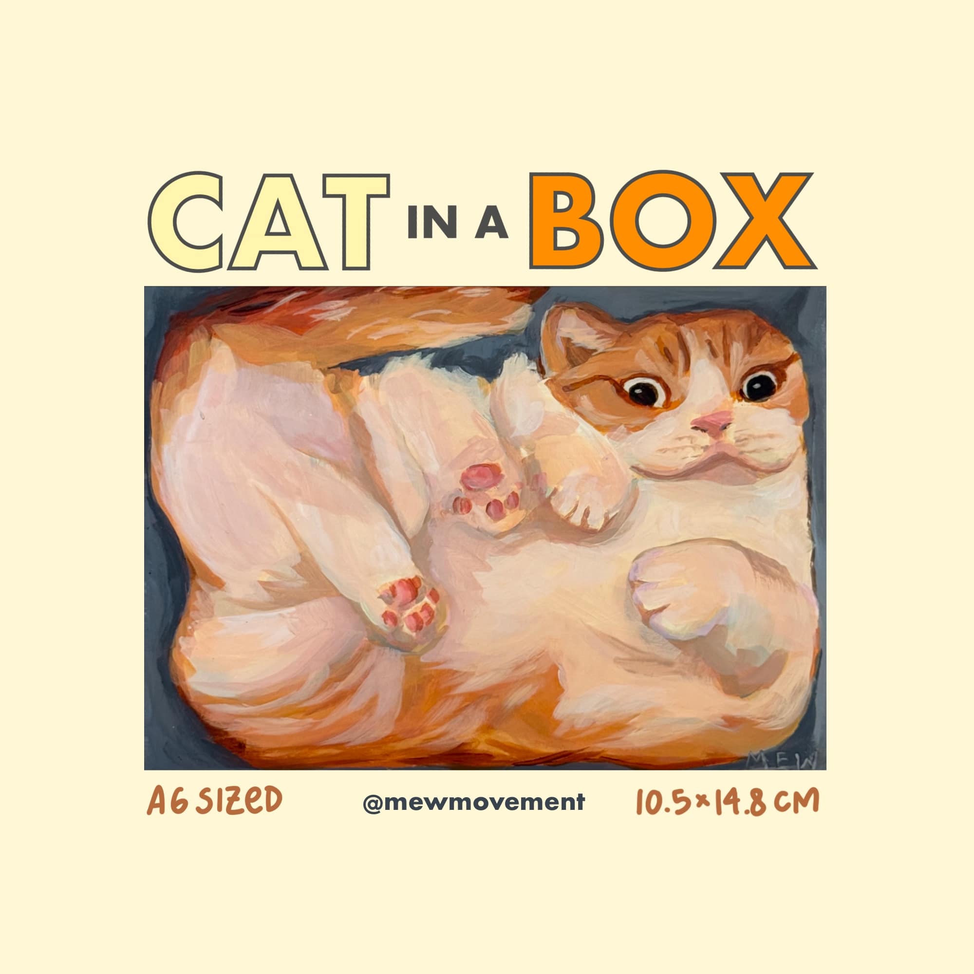Cat In A Box Postcard