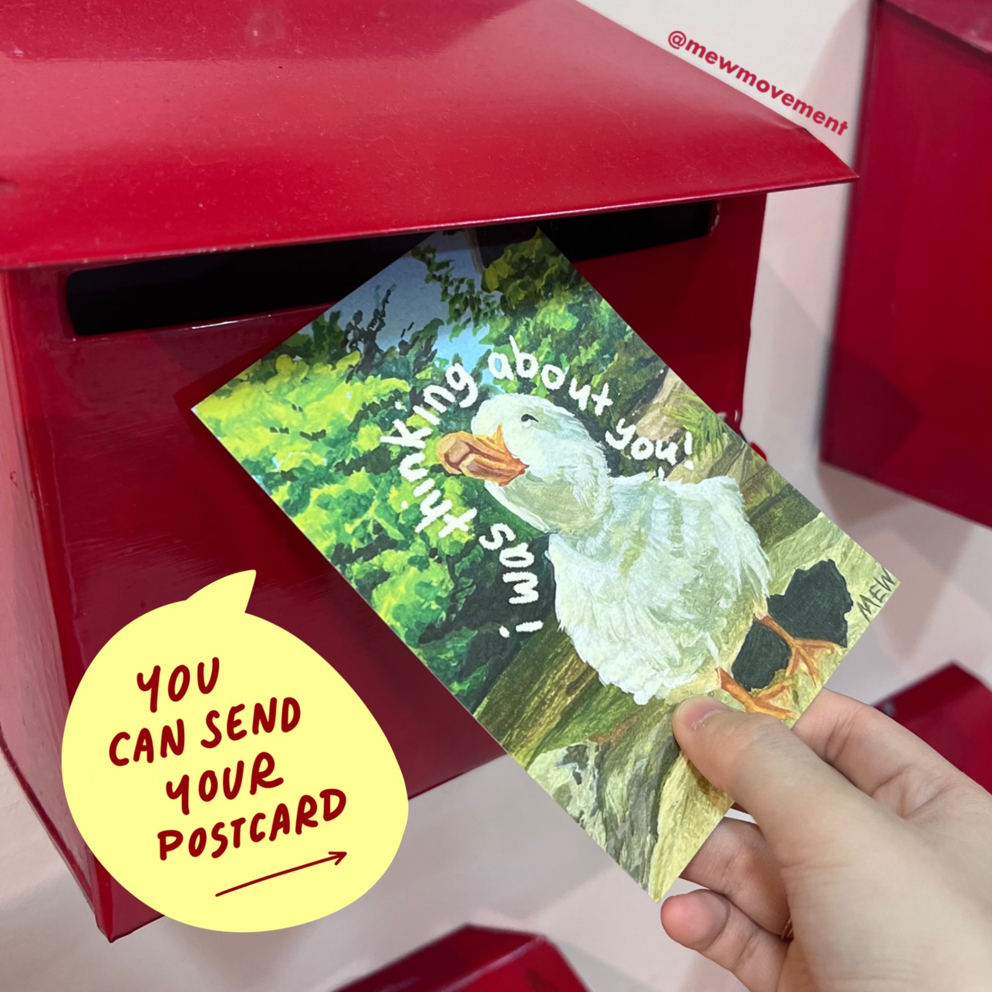 Duck Postcard