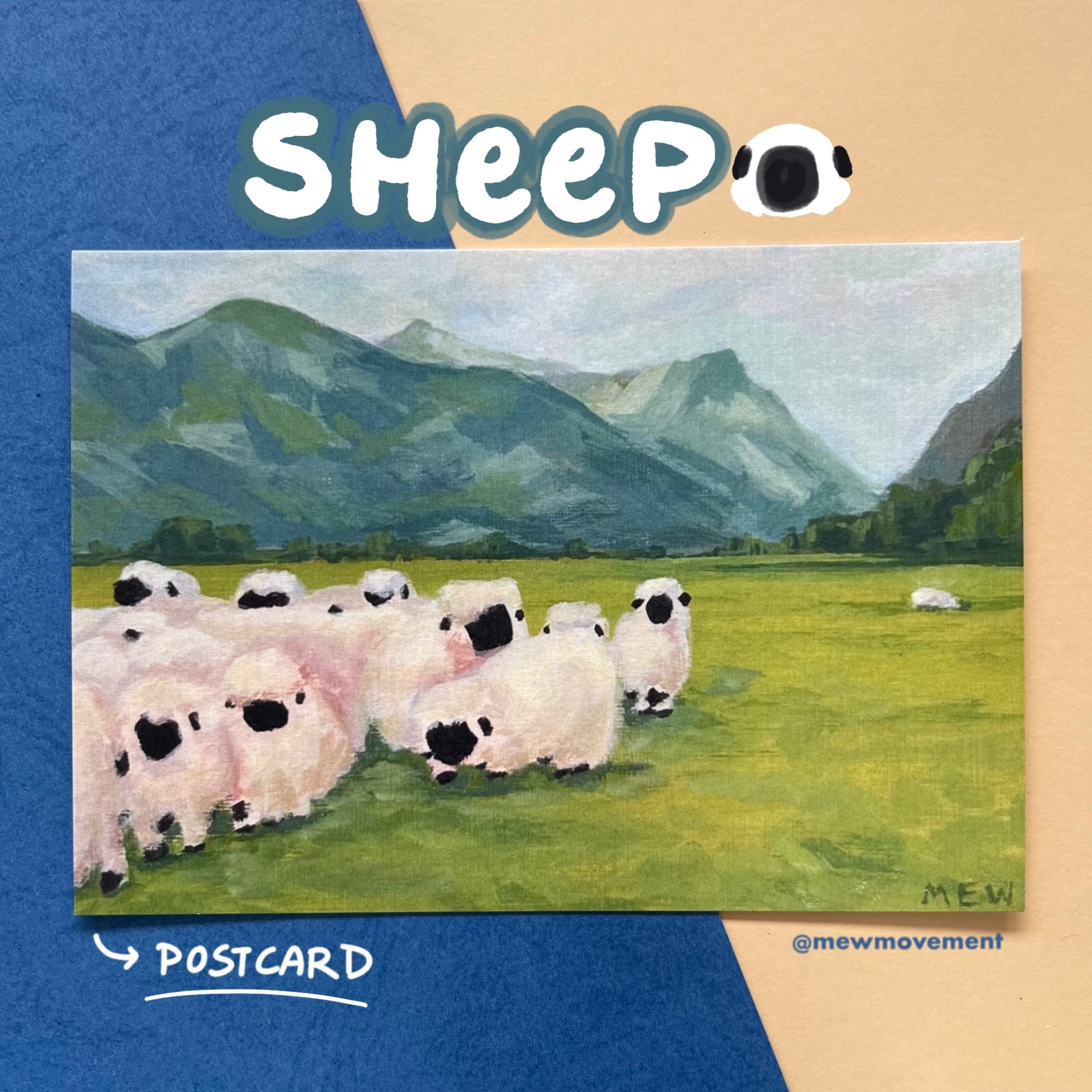 Sheep Postcard