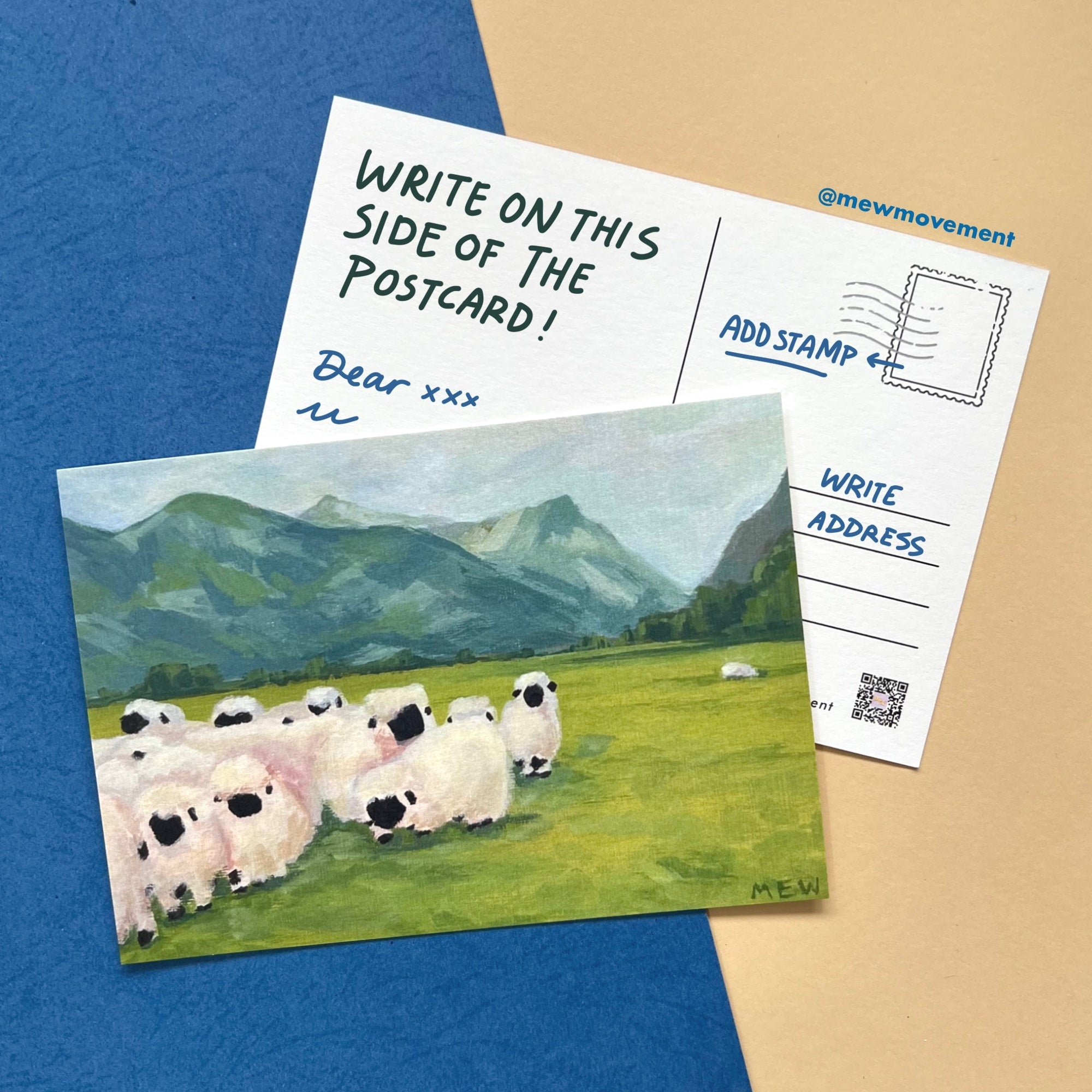 Sheep Postcard