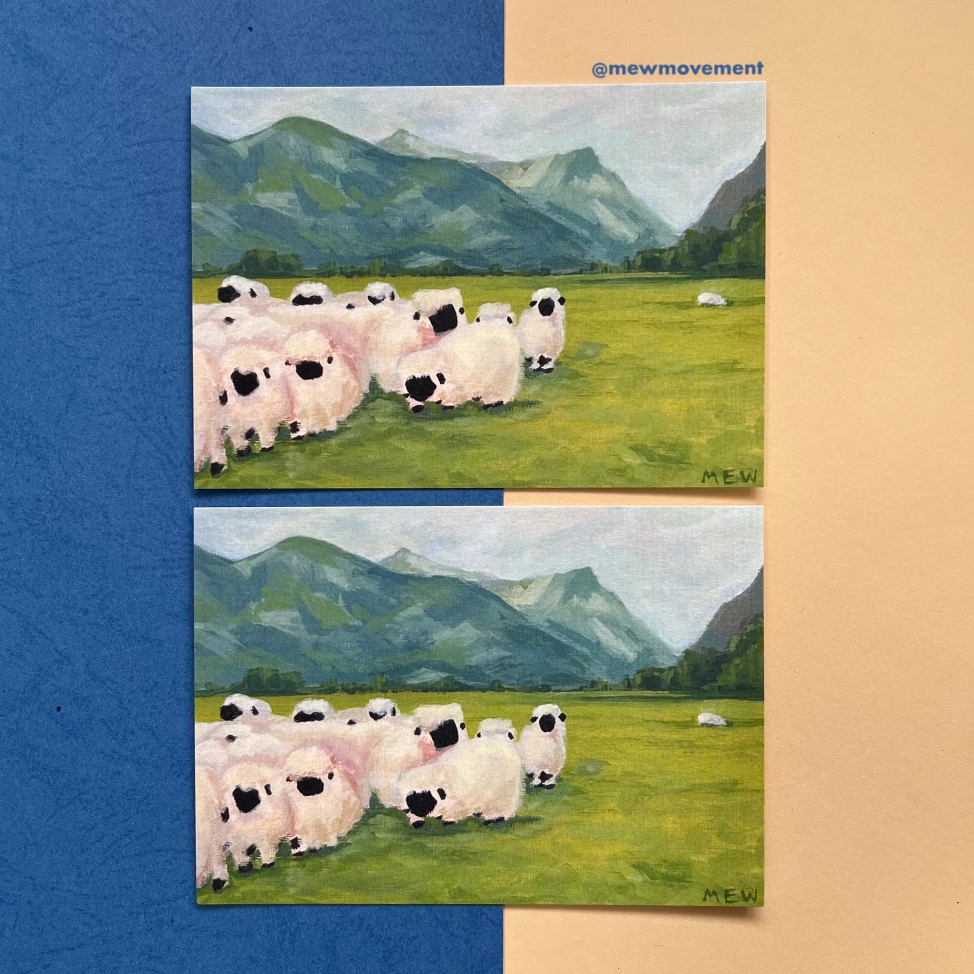 Sheep Postcard