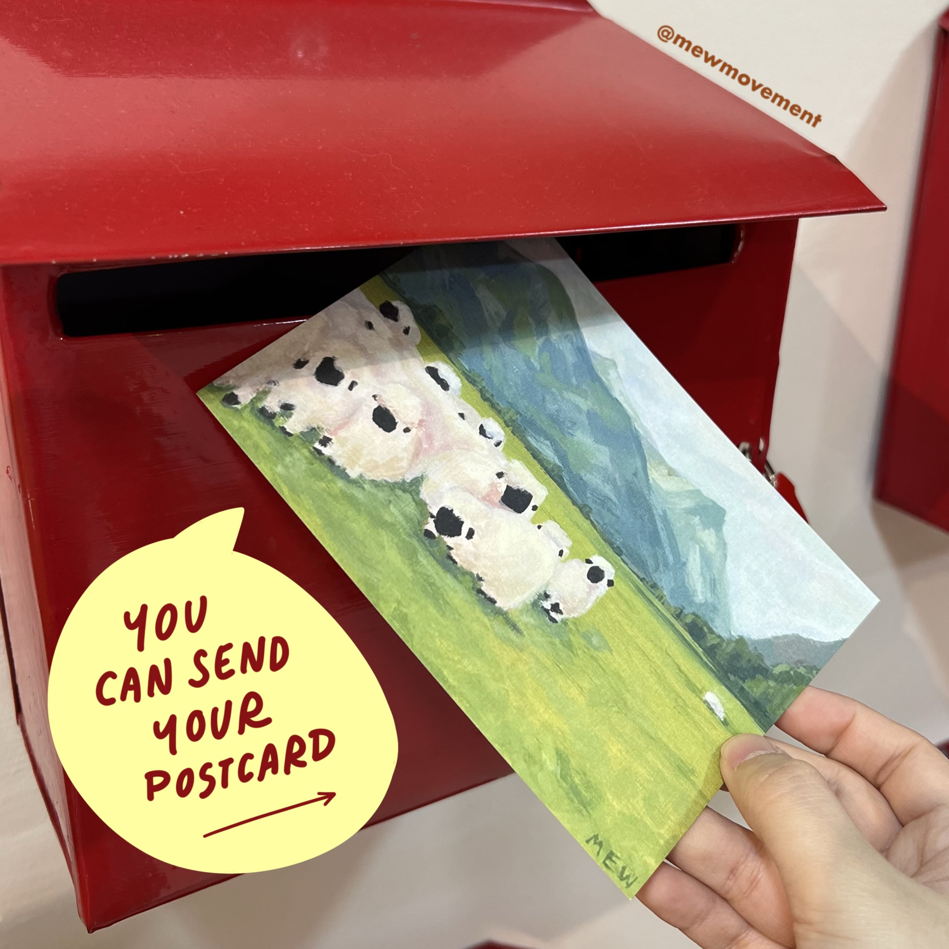 Sheep Postcard