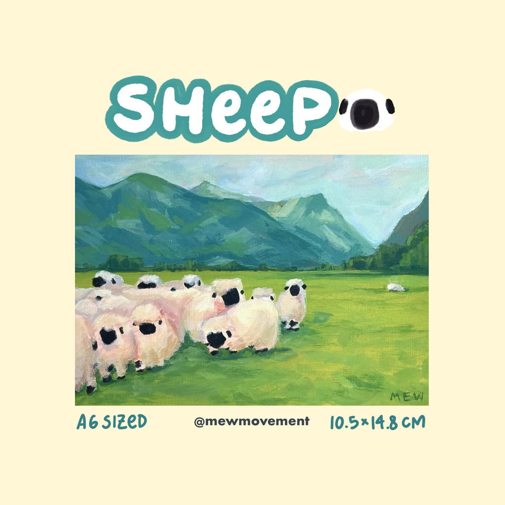 Sheep Postcard